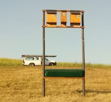 Bat Bank 1.jpeg