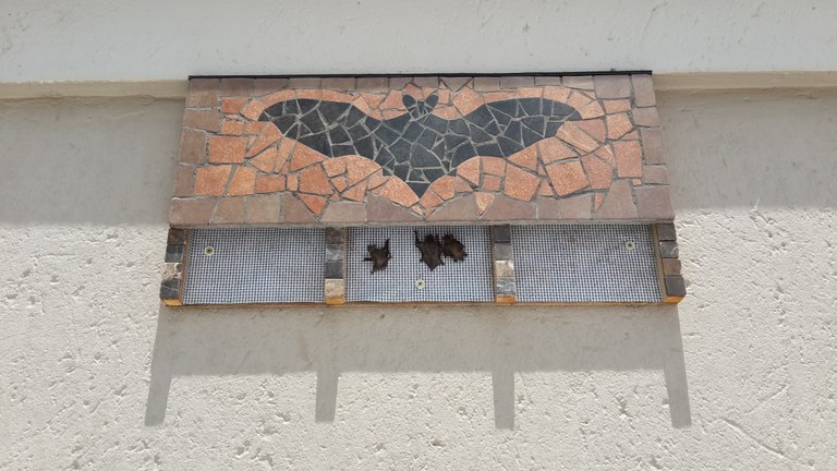 Occupied Mosaic Bat box